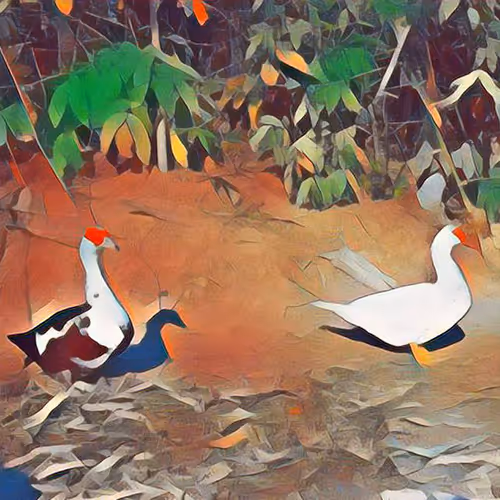 81269833061274051173789884418282317830923519221172308843662164519753980313601