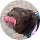 62090411686734617461483688221032579248247267943649615586467145035824437919745