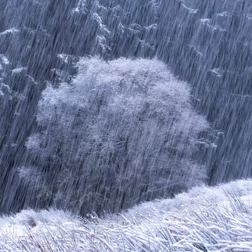 Alister Benn Intimate