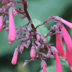 51124555051901614330264480006545612592022390906904121289505624549214585356289