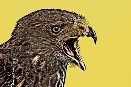 Item #1662425782654640170832190713280963699592465291637548006490664947608633475073 Media