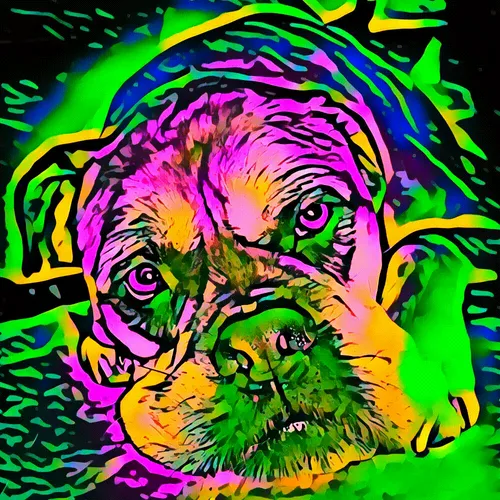 Item #50830097462543580601473563981388698009005024090223633461481089569949088743425 Media