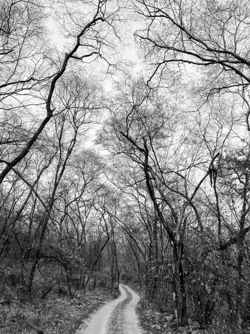 Item #32582134333190715797390498709078136794340153351974594145001505094438586679297 Media