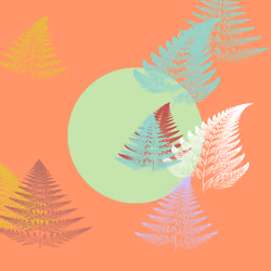 Fern Study 06