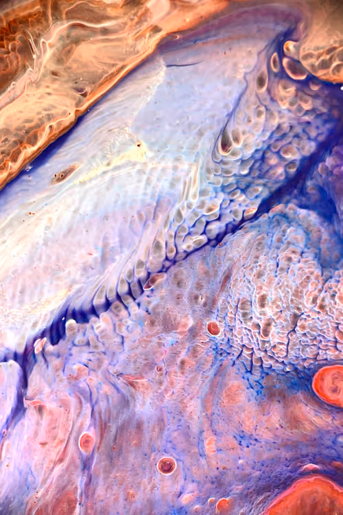 Item #199348557745545512943347160139758734699136135801198035903809507030437199873 Media