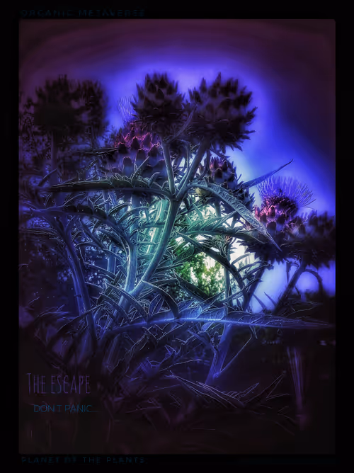 Item #3787080761074609709675817509753112159059746763483256848434353617170035900421 Media