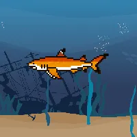 78964944229926021655968168462037545876501657311134209832205588749580576489473