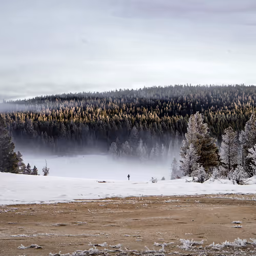 SharkyyNFT Collection