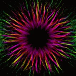 51929734946411346289540790635765095060363125039145709683616697069396287291393