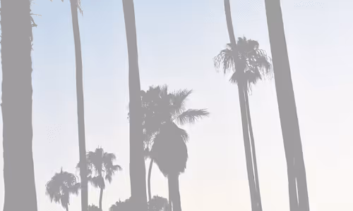 Item #13895770362792469734688406540771864633906230487145014712104887585670072107009 Media