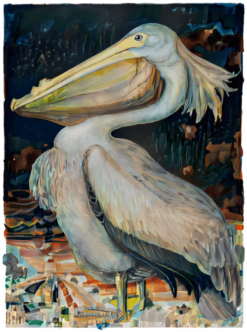 Item #12489479975597442904075550683828375763724097924832948667486830166952856518657 Media