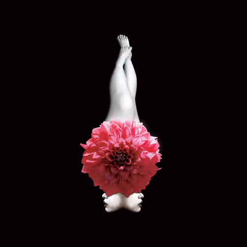 Item #58881391879356848682367030101924450645791658220730460031354841118693136531476 Media