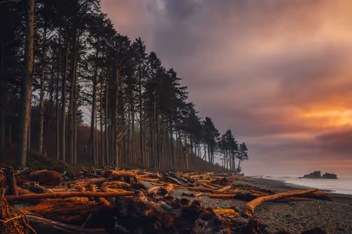 Item #68893585543807319925330967808538718473616889989347730596649157797525887909889 Media