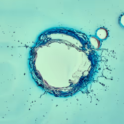 46489901761508154690977052556102681350934379687164571149816291744782049345537