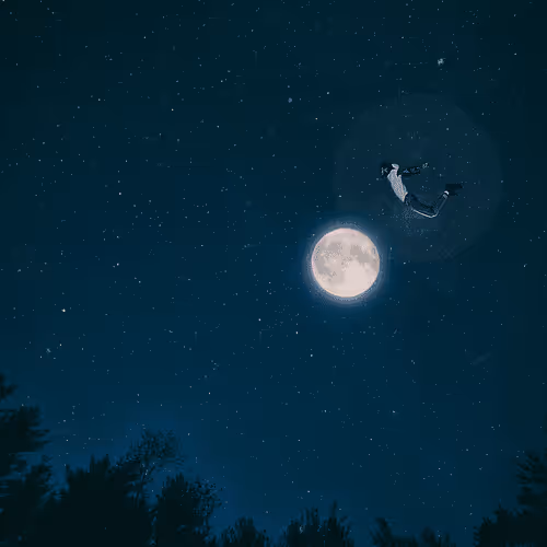 Freedom(free like a bird)