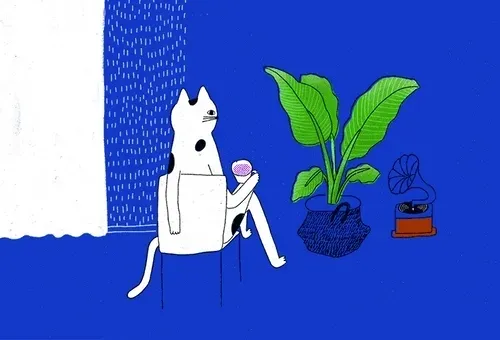 Calm Adventure Series