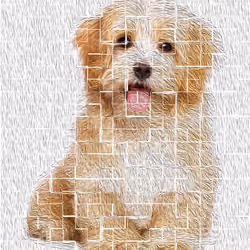 Tiled Doggo
