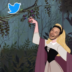 Elon Musk wonder