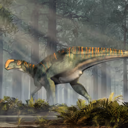 15201862250514145958676777466825728141953005429687029988591517104082169888769