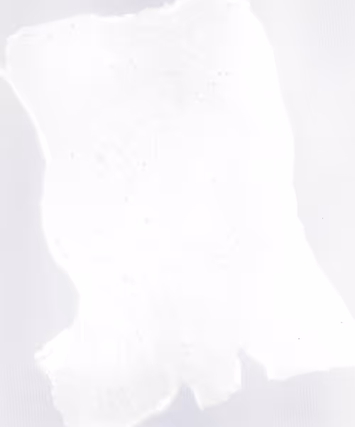 Item #66412083877775050052255921183624814536266007620308041883263231618039590944769 Media