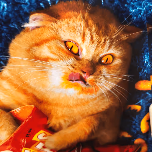 Untitled Collection #450938760