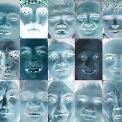 Color Discrimination Paradox Reality