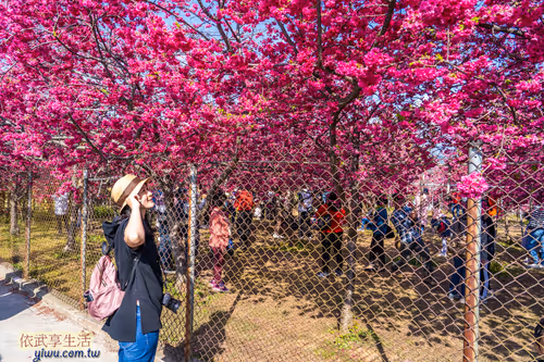 Item #100744422725674417057824683306763013505668843176654858816283483926334955061249 Media