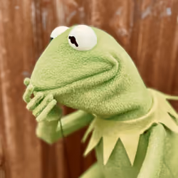 Kermit the Frog portrait - thinking