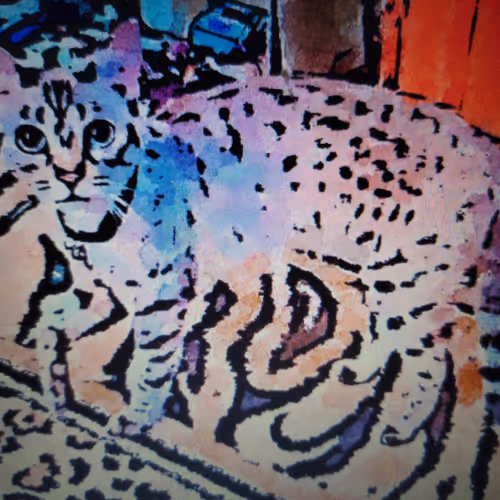 Untitled Collection #52038346