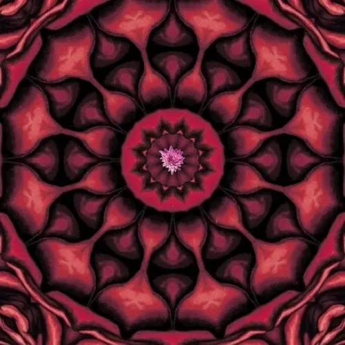 98947572418512167548916596881804276216918343098038041002170731485962103160833