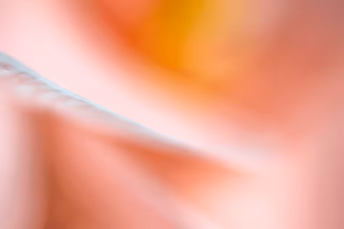 Always - A Collection For Hope