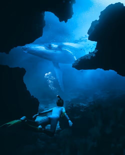 Item #5120042332681476466632520770121700592134821440612237730621647047532394577921 Media