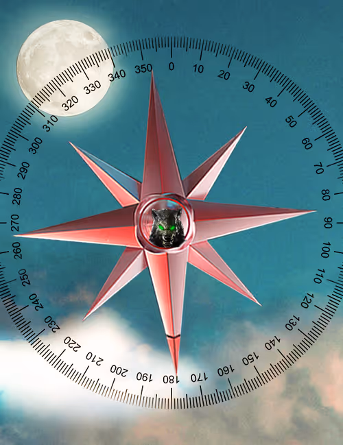 Item #54252931850304595306690029082721201445978313250689431385278468248713920774145 Media