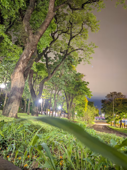 Item #30532647449704706474345759035685869546777711109536438008576936443530505617409 Media