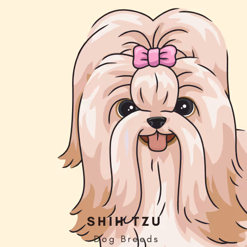 Item #102435799496306094734793923269386745647945406749022464082574321271887563325441 Media