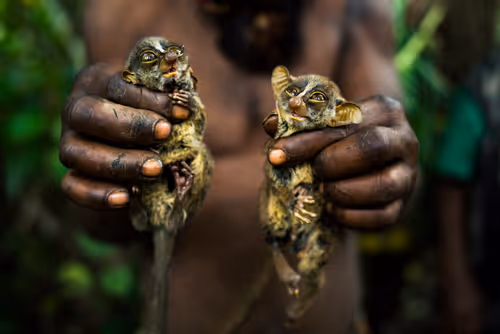 Item #28410794678939122859492626871196116087705428262137093470030241658063693021185 Media