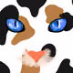 40955305313362725664906285379913794955987200378087023760322185555419378745345