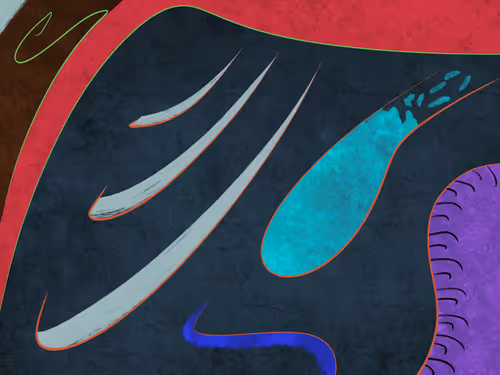 Item #71540376503307699237762999139551421214339771264022739504706762196760662114305 Media