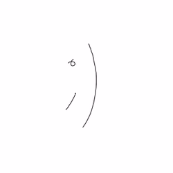 Wink Face