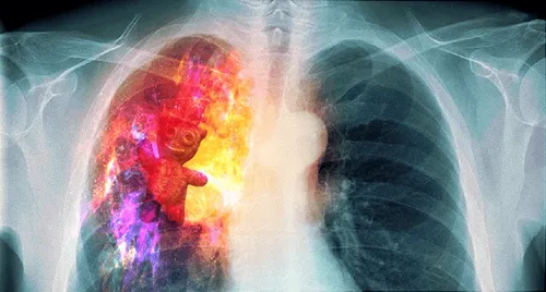 Item #25341286264500723035621473236106555894325910133190681856438129046494948360193 Media