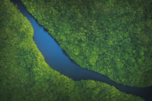 Item #2205989388577158375504449708652211158974590311426714005692541277365147271171 Media