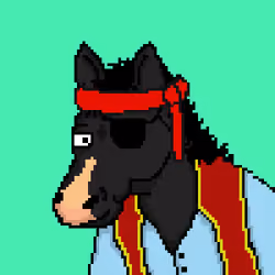 PIrate Horsie