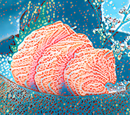 Item #62376175420327940175085020228465831385493836508367362479027263860441956220929 Media