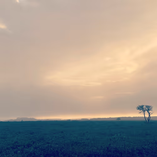 Item #36844992614188905470265102847256926820365174315882136485200209219302484606977 Media