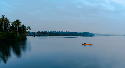 Intertwining With Nature