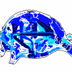 Seal