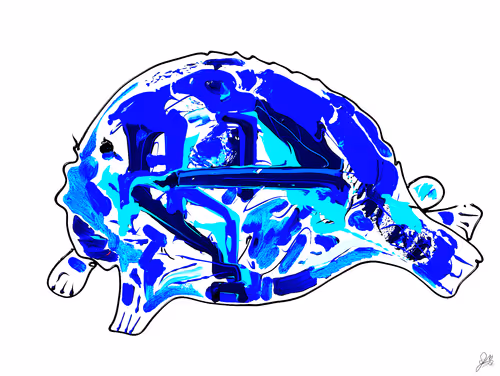 Item #97273155613811922598899130879673309471278105957294224275623240020858301841409 Media