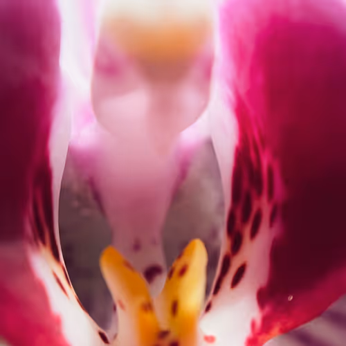 Item #37034807044231138001272683055946998018718310108035957706873137434781477240833 Media