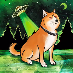 Doge #4956