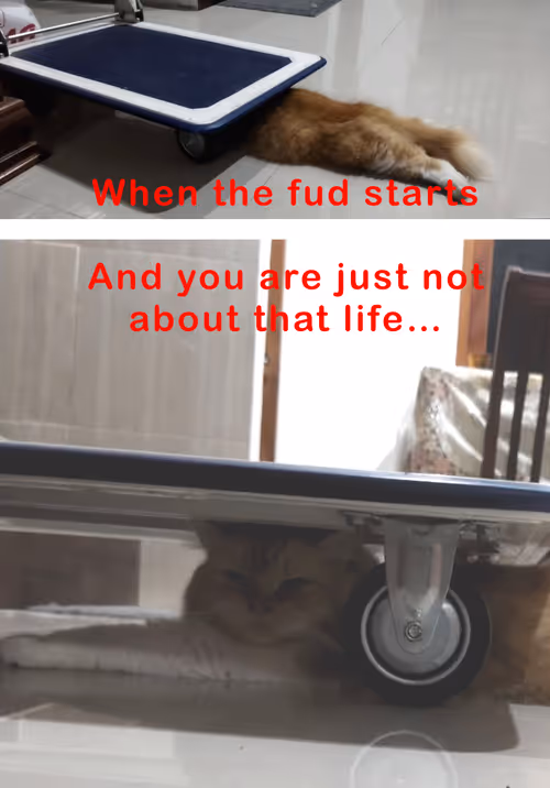 Item #6594393840610965349424828787198840571990847441519972240810969510147897950209 Media